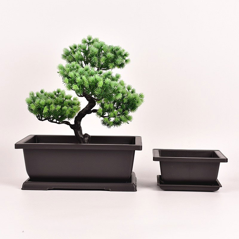 Rectangle Bonsai Pot